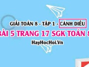 Giải bài 5 trang 17 Toán 8 Tập 1 SGK Cánh Diều